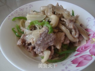 蘑菇肉片的做法