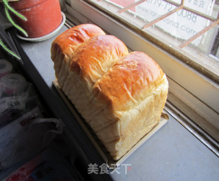 土司研究第一季……港式土司的做法