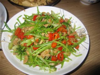 香菜梗爆肉丝