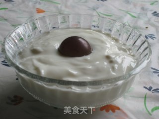 自制酸奶的做法
