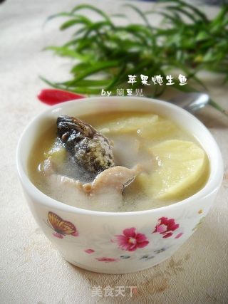 苹果炖生鱼的做法