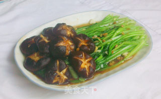 香菇菜心的做法