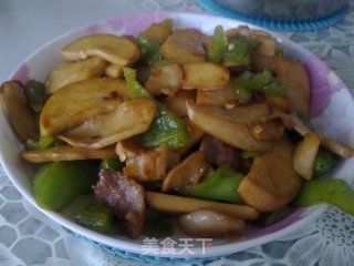 蚝油杏鲍菇的做法