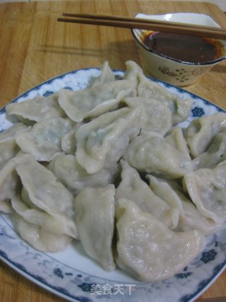 经典韭菜猪肉饺的做法