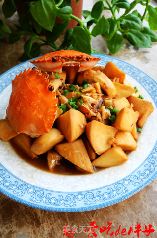 蟹味杏鲍菇的做法