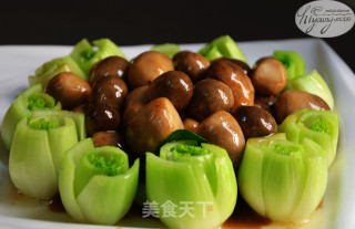 蚝油草菇的做法
