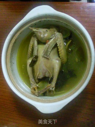 枸杞鸽子汤的做法