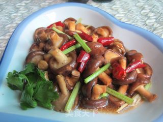 蚝油草菇的做法