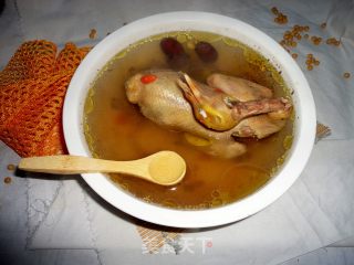 红枣枸杞鸽子汤的做法