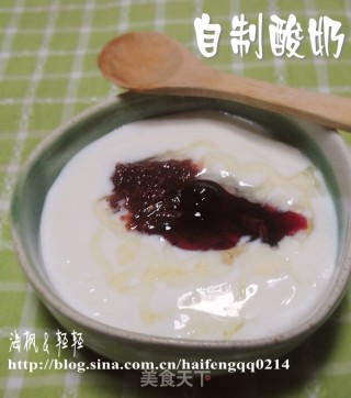 自制酸奶的做法