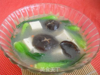 鲜香豆腐汤的做法
