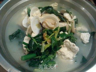白贝炖豆腐的做法
