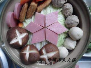 冬季暖身暖心的什锦肉丸砂锅煲的做法