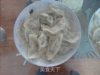 大肚韭菜猪肉水饺的做法