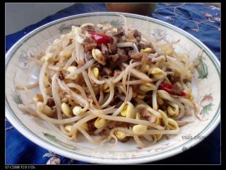 肉碎黄豆芽的做法