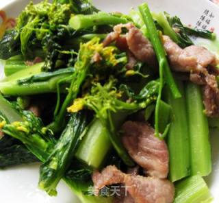 增城名产 ----  迟菜心炒肉片的做法