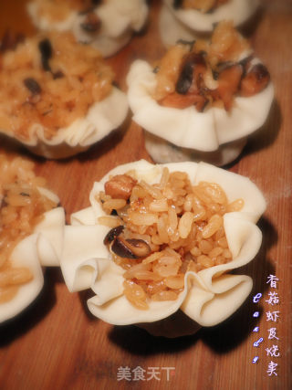 香菇虾皮烧卖的做法