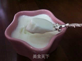 自制酸奶（面包机版）的做法