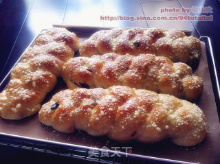 奶酥黑提辫子包（液种）的做法