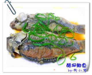 醋焖鲫鱼的做法