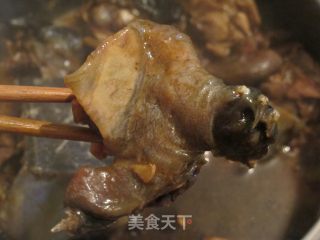 红烧甲鱼的做法
