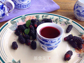 桑葚酒的做法
