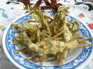 香椿鱼儿的做法