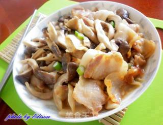平菇烧肉的做法