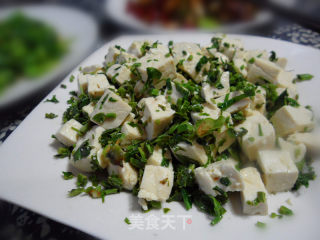 香椿拌豆腐的做法