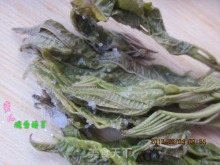 腌制香椿芽的做法