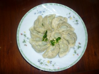 韭菜木耳鸡蛋饺子的做法
