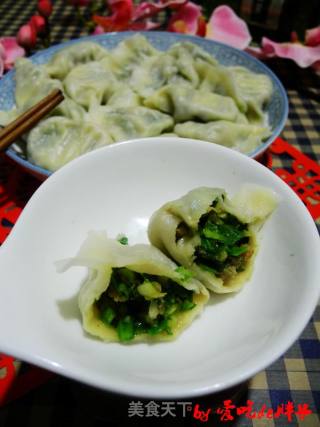 韭菜海米猪肉水饺的做法