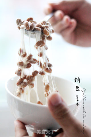家庭自制纳豆的做法超详细多图全攻略——纳豆的做法