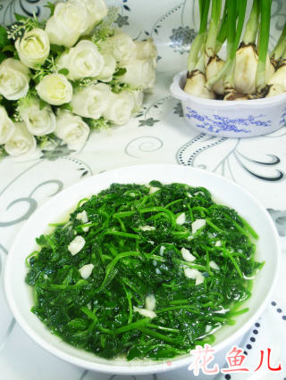 蒜香豆苗的做法