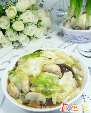 双菇圆白菜的做法