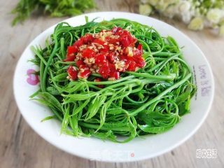 剁椒拌火镰菜的做法