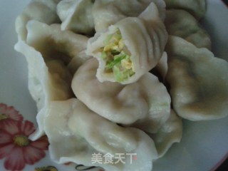 西葫芦鸡蛋饺子------小瓜鸡蛋水饺的做法