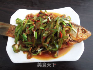 香辣甜鲜的豆瓣鲫鱼的做法