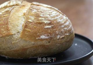 天然酵母养成记的做法