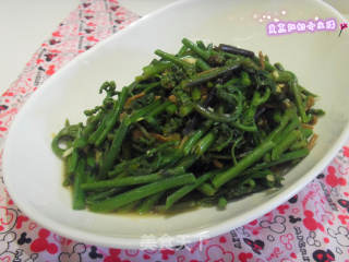 肉丝蕨菜的做法