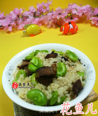 蚕豆酱肉饭的做法
