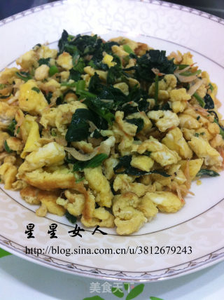 家常快手菜—芹菜叶虾米炒鸡蛋