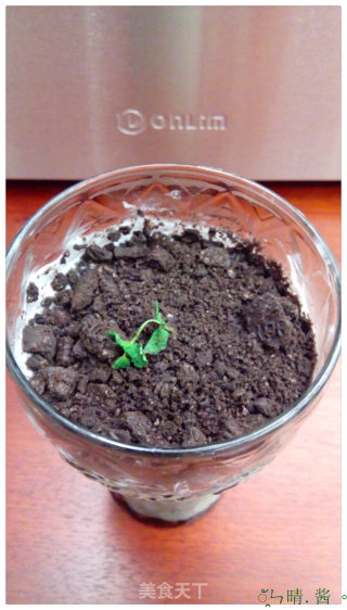 酸奶盆栽的做法