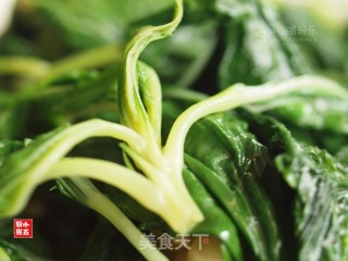 豆酱炒麻叶：餐桌上的防暑降温的做法