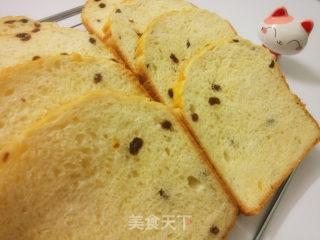 面包机版葡萄干牛奶吐司（中种法）的做法