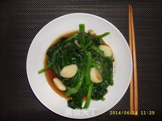 蚝油木耳菜的做法