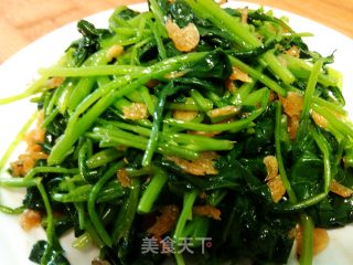清拌芥蓝苗的做法
