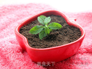盆裁酸奶冻的做法