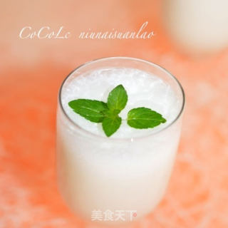 牛奶酸酪的做法