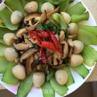 香菇油菜汇鹌鹑的做法